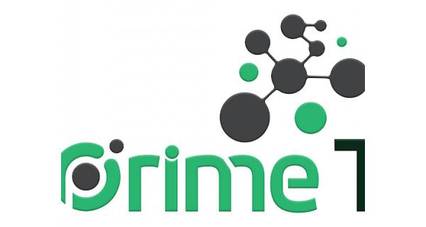 PRIME TECHNOLOGIES Ezulwini Logo